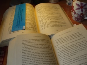 The Forgotten Garden y El jardín olvidado