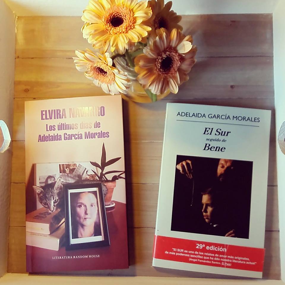 Elvira Navarro - Los últimos días de Adelaida García Morales