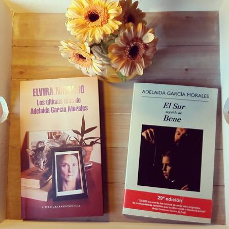 Elvira Navarro - Los últimos días de Adelaida García Morales